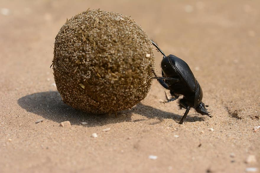 Преувеличаване или Омаловажаване