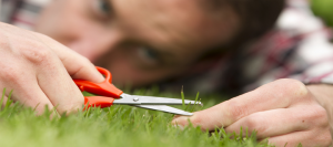 Всичко или нищо Всичко или нищо